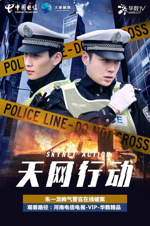 天网行动,织密网络安全防线，守护数字世界安全