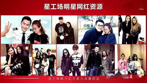 网红是怎样炼成的,从平凡到闪耀的蜕变历程