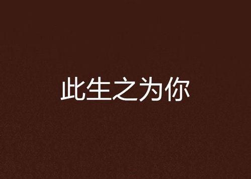 此生为你,携手共度美好时光