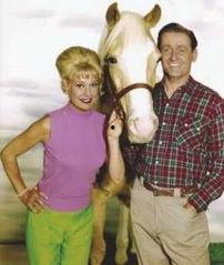 三个艾德 第一季,艾德们的异世界冒险之旅